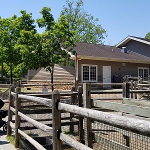 Bergen County Zoo - Farm
