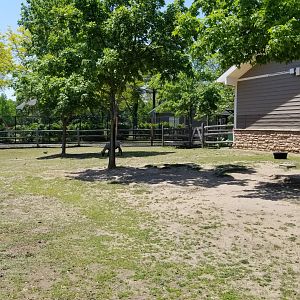 Bergen County Zoo - Farm
