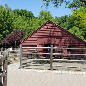 Bergen County Zoo - Farm