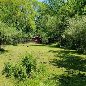 Bergen County Zoo - Belgian horse paddock
