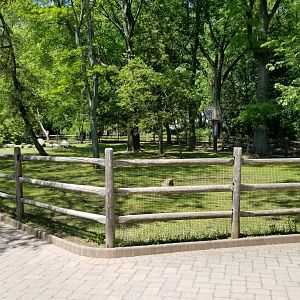 Bergen County Zoo - Belgian horse paddock