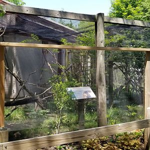 Bergen County Zoo - Golden lion tamarin outdoor area