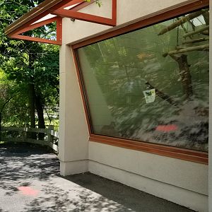 Bergen County Zoo - Red rumped agouti, Linneaus's sloth