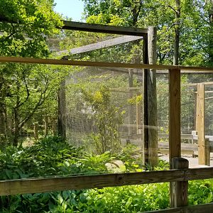 Bergen County Zoo - Goeldi's monkey, sloth outdoor areas