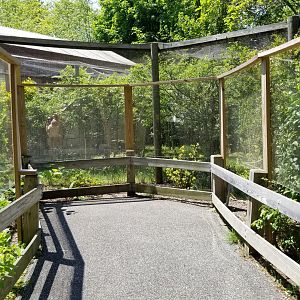 Bergen County Zoo - Goeldi's monkey, sloth outdoor areas