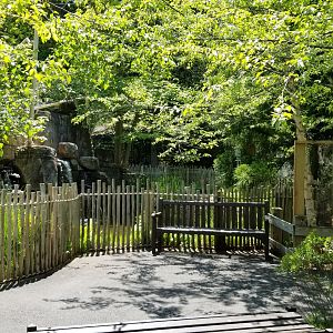 Bergen County Zoo - Water feature behind tamarins