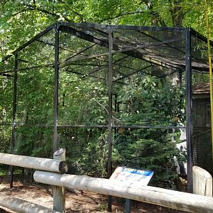 Bergen County Zoo - Snowy owl