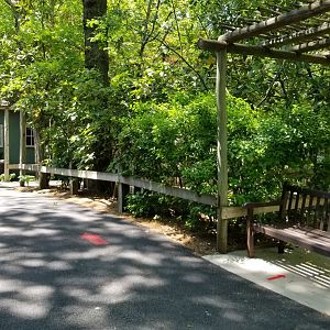 Bergen County Zoo - Area by wetlands aviary