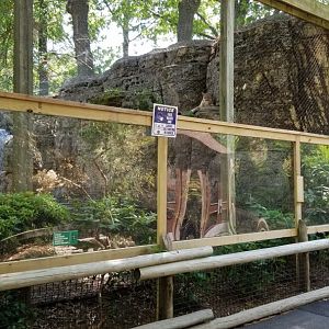 Bergen County Zoo - Cougar