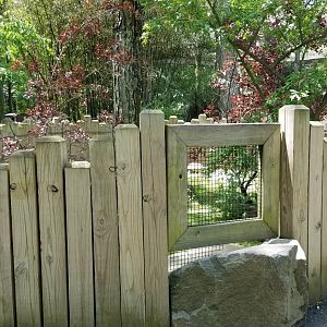 Bergen County Zoo - Red-footed, yellow-footed tortoises