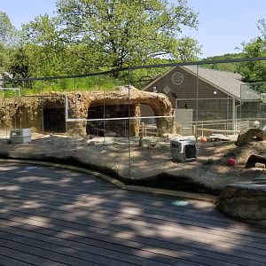 Bergen County Zoo - Black-tailed prairie dogs