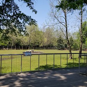 Bergen County Zoo - Bison and elk