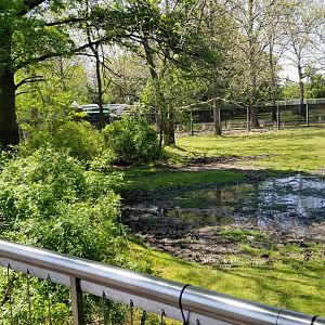 Bergen County Zoo - Bison and elk, left