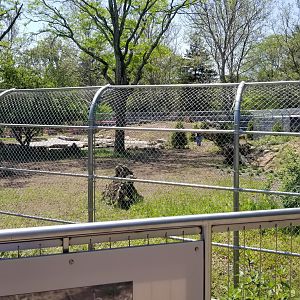 Bergen County Zoo - Construction