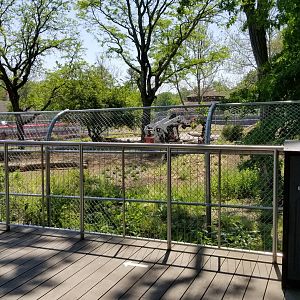 Bergen County Zoo - Construction
