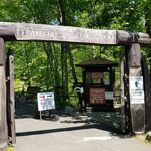 Bear Mountain - Trailside Museums & Zoo entrance