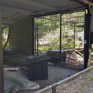 Bear Mountain - Bobcat