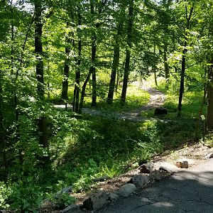 Bear Mountain - Geology trail