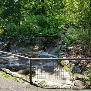 Bear Mountain - Empty exhibit