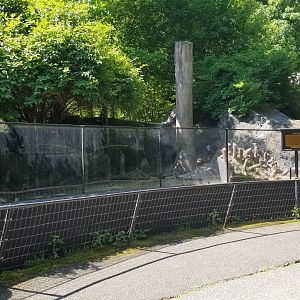 Bear Mountain - Beaver