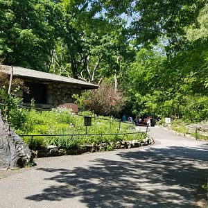 Bear Mountain - Looking past beaver to taxidermy museum