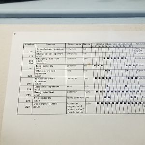 Bear Mountain - Example of bird signage