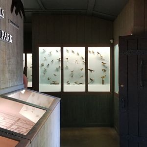 Bear Mountain - Inside museum