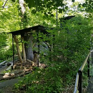 Bear Mountain - Outside exit from taxidermy museum