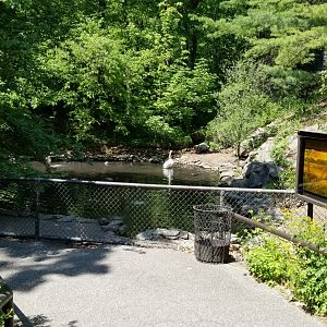 Bear Mountain - Waterfowl pond