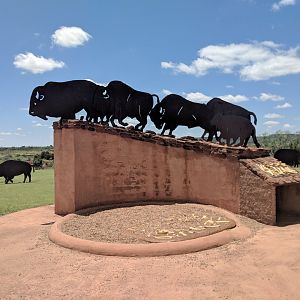 Flattened steel bison sculpture