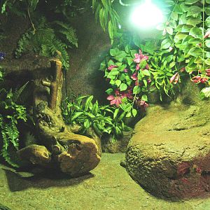 Terrarium (Inhabitants unknown), 2009-04-14