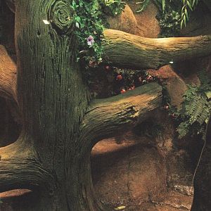 Reticulated python terrarium, first part, 2009-04-14