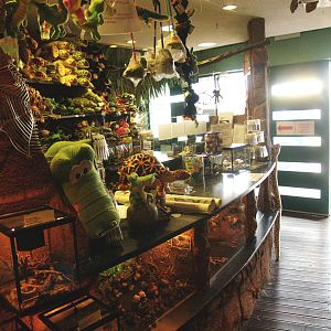 Ticket counter, 2009-04-14