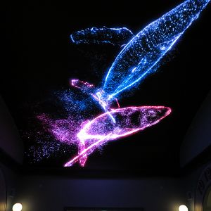 Entrance Hall - Giant Animated Overhead Screen