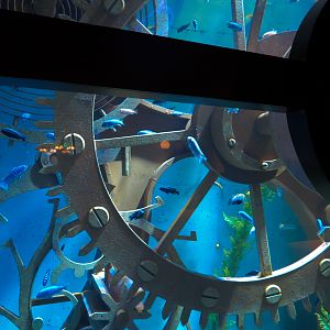 Train-themed Entrance Hall - Cichlid Exhibit