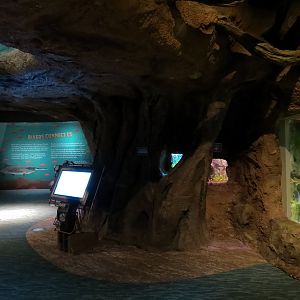 Global Rivers - Three Small Terrariums