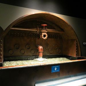 Global Rivers - Doctorfish Touch Exhibit