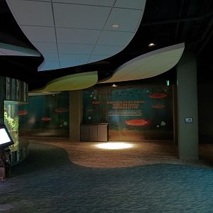 Global Rivers - Hall