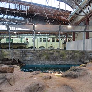 Changing Rivers - North American River Otter Exhibit