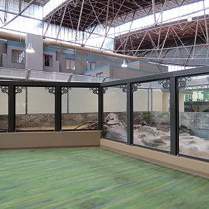 Changing Rivers - North American River Otter Exhibit