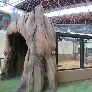 Changing Rivers - North American River Otter Exhibit