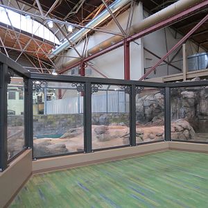 Changing Rivers - North American River Otter Exhibit