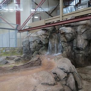 Changing Rivers - North American River Otter Exhibit