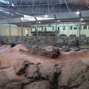 Changing Rivers - North American River Otter Exhibit
