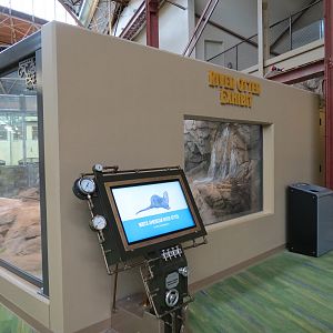 Changing Rivers - North American River Otter Exhibit