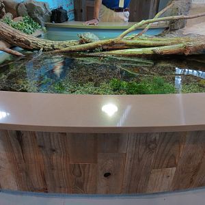 Changing Rivers - Sliders Exhibit