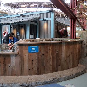 The Ocean Shore - Two Tidepool Touch Tanks