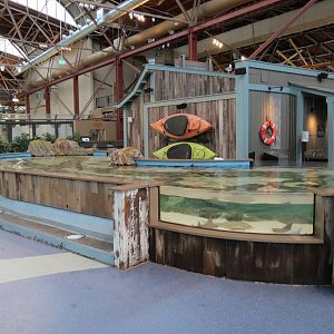 The Ocean Shore - Touch Tank