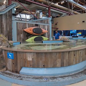 The Ocean Shore - Touch Tank