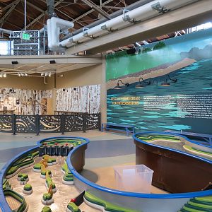 Changing Rivers - Stream Water Table